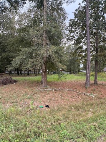 25546 Cambridge Boulevard, New Caney, TX 77357