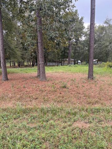 25546 Cambridge Boulevard, New Caney, TX 77357