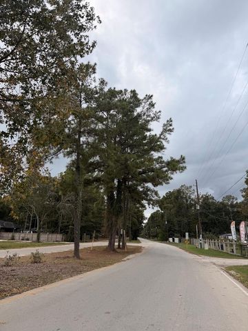 25546 Cambridge Boulevard, New Caney, TX 77357