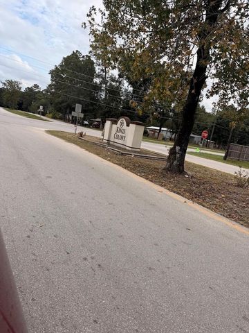 25546 Cambridge Boulevard, New Caney, TX 77357