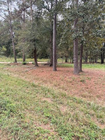 25546 Cambridge Boulevard, New Caney, TX 77357