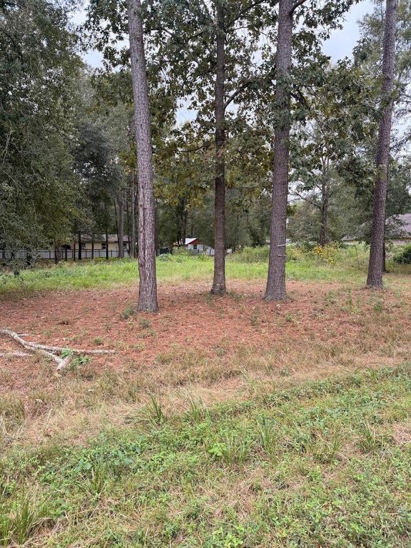 25546 Cambridge Boulevard, New Caney, TX 77357