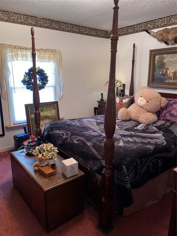 1050 CR 482D, Lake Panasoffkee, FL 33538