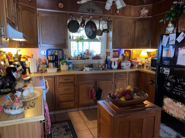 1050 CR 482D, Lake Panasoffkee, FL 33538