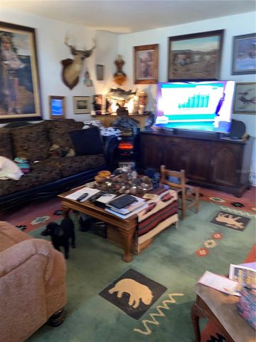 1050 CR 482D, Lake Panasoffkee, FL 33538