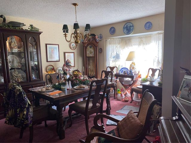 1050 CR 482D, Lake Panasoffkee, FL 33538