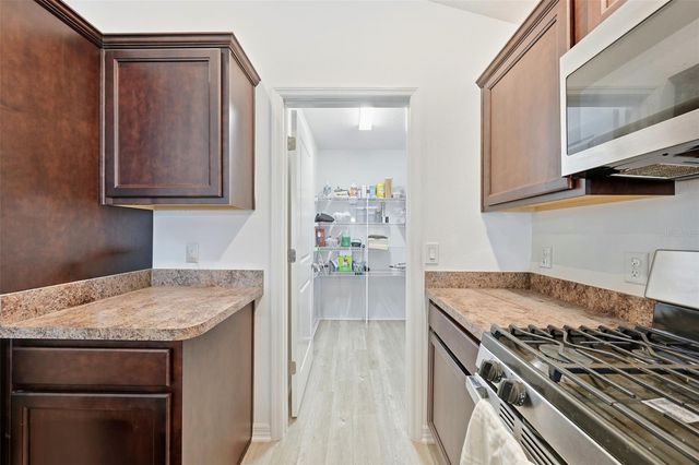 6094 RODRIGUEZ LANE, The Villages, FL 32163