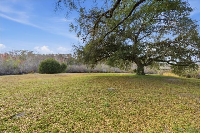 12881 E Big Buck Trail, Floral City, FL 34436