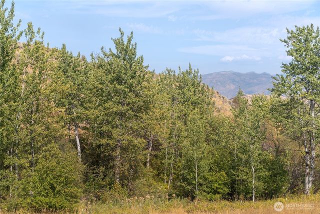 653 B Ellemeham Mtn. Road, Oroville, WA 98844