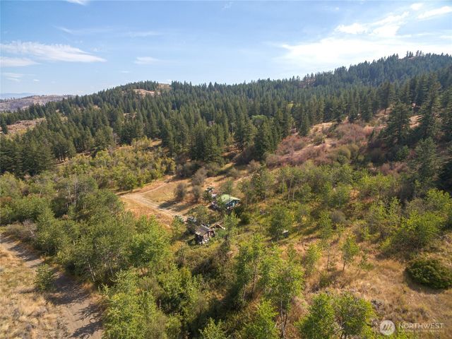 653 B Ellemeham Mtn. Road, Oroville, WA 98844