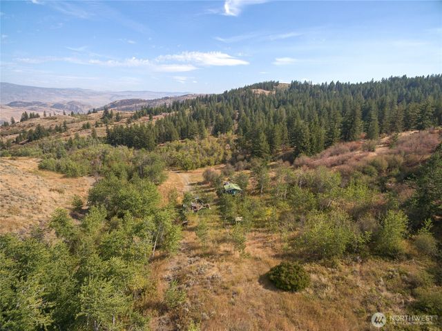 653 B Ellemeham Mtn. Road, Oroville, WA 98844