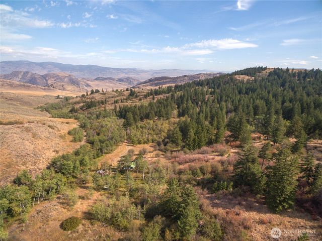 653 B Ellemeham Mtn. Road, Oroville, WA 98844