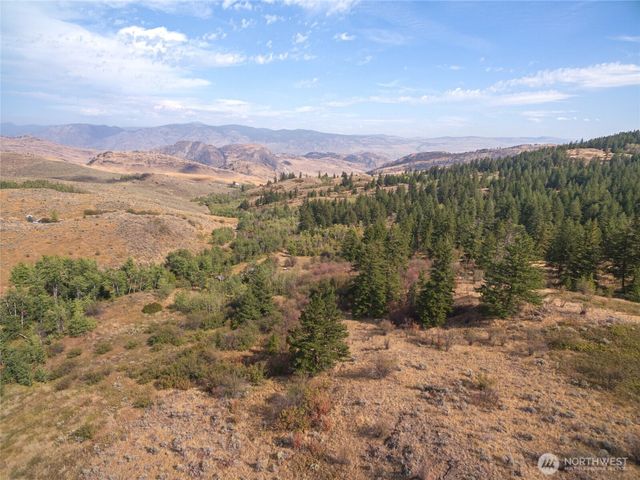 653 B Ellemeham Mtn. Road, Oroville, WA 98844