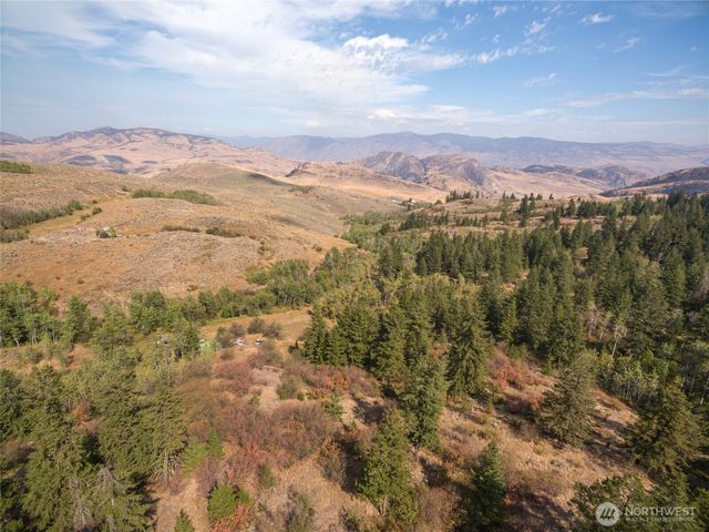 653 B Ellemeham Mtn. Road, Oroville, WA 98844