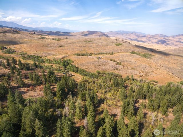 653 B Ellemeham Mtn. Road, Oroville, WA 98844