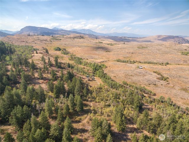 653 B Ellemeham Mtn. Road, Oroville, WA 98844