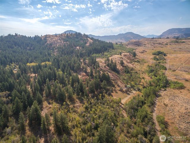 653 B Ellemeham Mtn. Road, Oroville, WA 98844