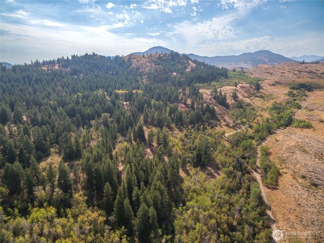 653 B Ellemeham Mtn. Road, Oroville, WA 98844