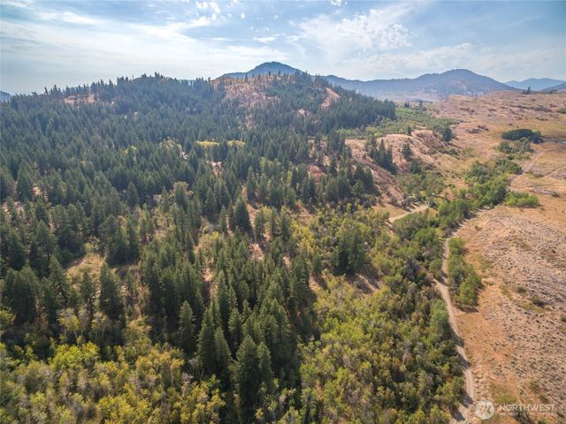 653 B Ellemeham Mtn. Road, Oroville, WA 98844