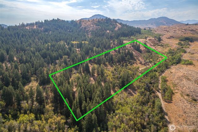 653 B Ellemeham Mtn. Road, Oroville, WA 98844