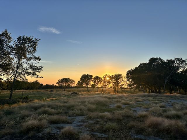 000 McConnell Road, Gunter, TX 75058