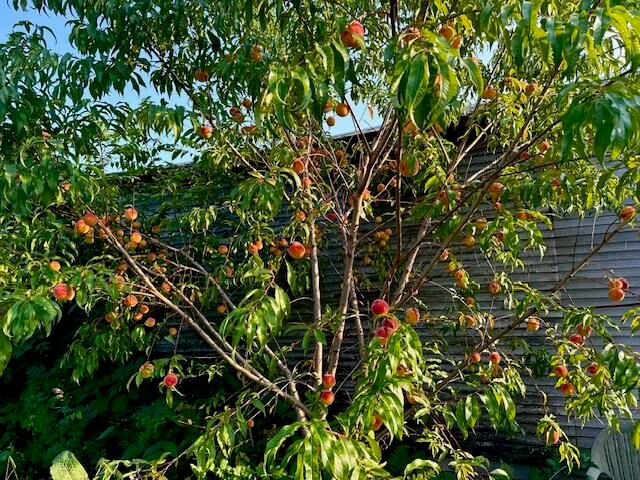 68 Smith Street, Rouses Point, NY 12979