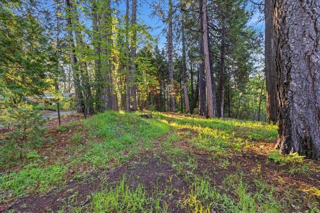11005 Berggren Ln, Nevada City, CA 95959