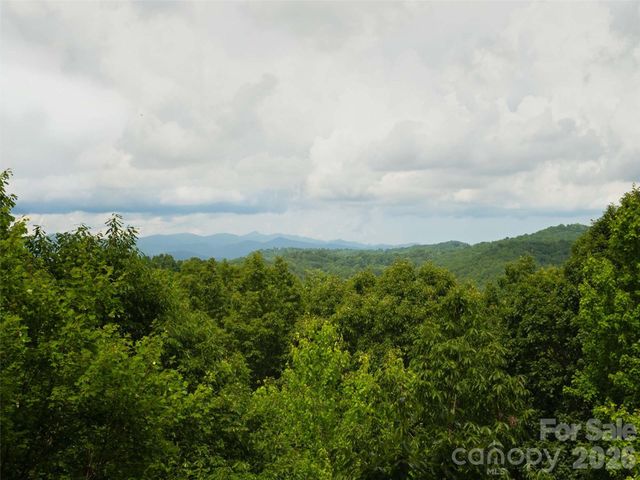 20 Adohi Court, Brevard, NC 28712