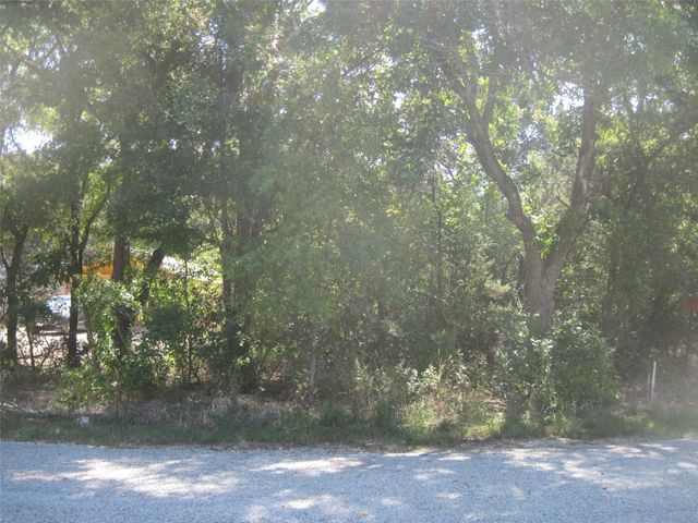 1119 Boot Trail Court, Granbury, TX 76048