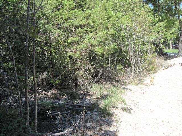 1119 Boot Trail Court, Granbury, TX 76048