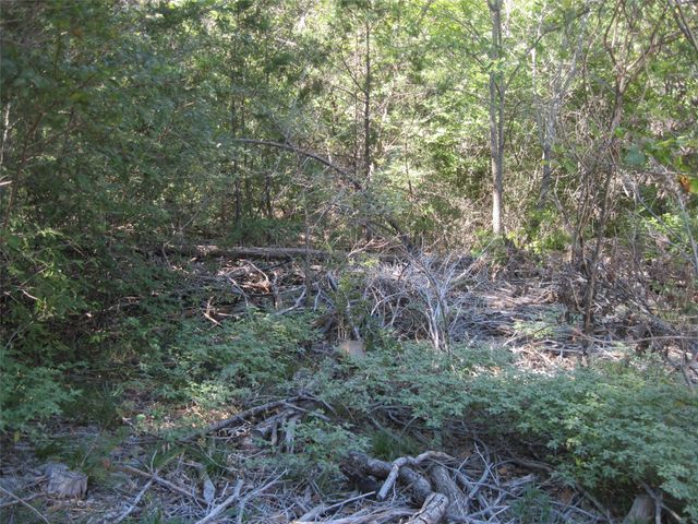 1119 Boot Trail Court, Granbury, TX 76048