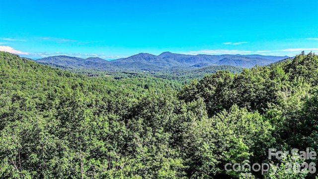 485 Mountain Lookout Drive, Bostic, NC 28018