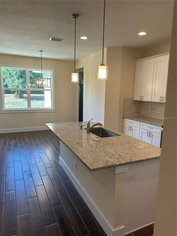 4011 AMBER ROAD, Valrico, FL 33594