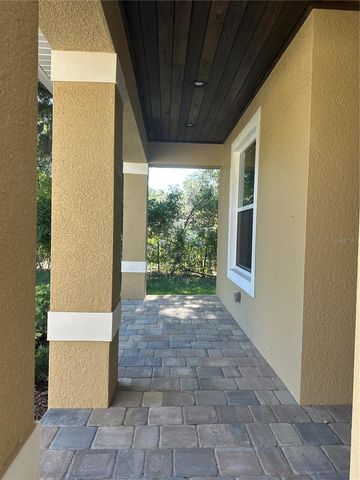 4011 AMBER ROAD, Valrico, FL 33594