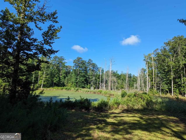 LOT 1 Joe Roberts Road, Newnan, GA 30263