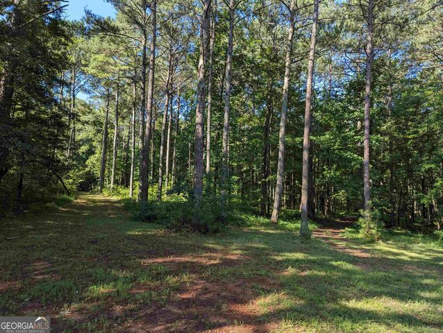 LOT 1 Joe Roberts Road, Newnan, GA 30263