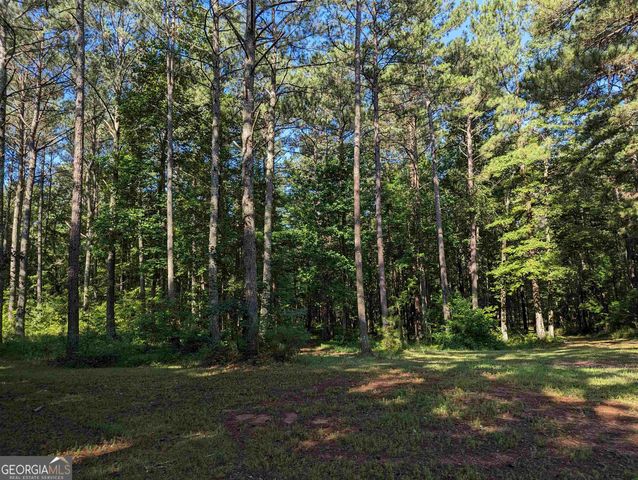 LOT 1 Joe Roberts Road, Newnan, GA 30263