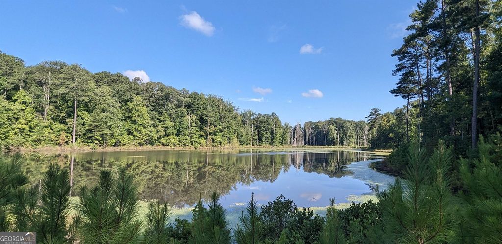 LOT 1 Joe Roberts Road, Newnan, GA 30263