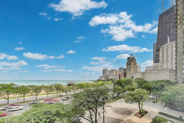 1110 N Lake Shore Drive 3N, Chicago, IL 60611