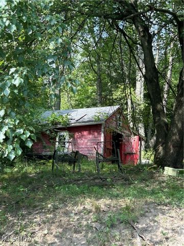 77 Wilhelm Street, Struthers, OH 44471