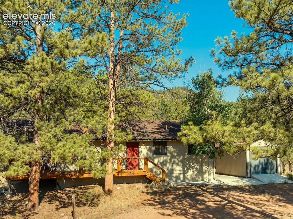 62 White Trail, Lake George, CO 80827 — exterior