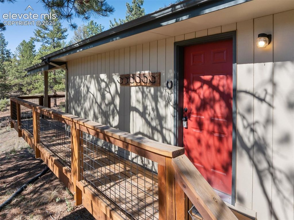62 White Trail, Lake George, CO 80827 — photo 3