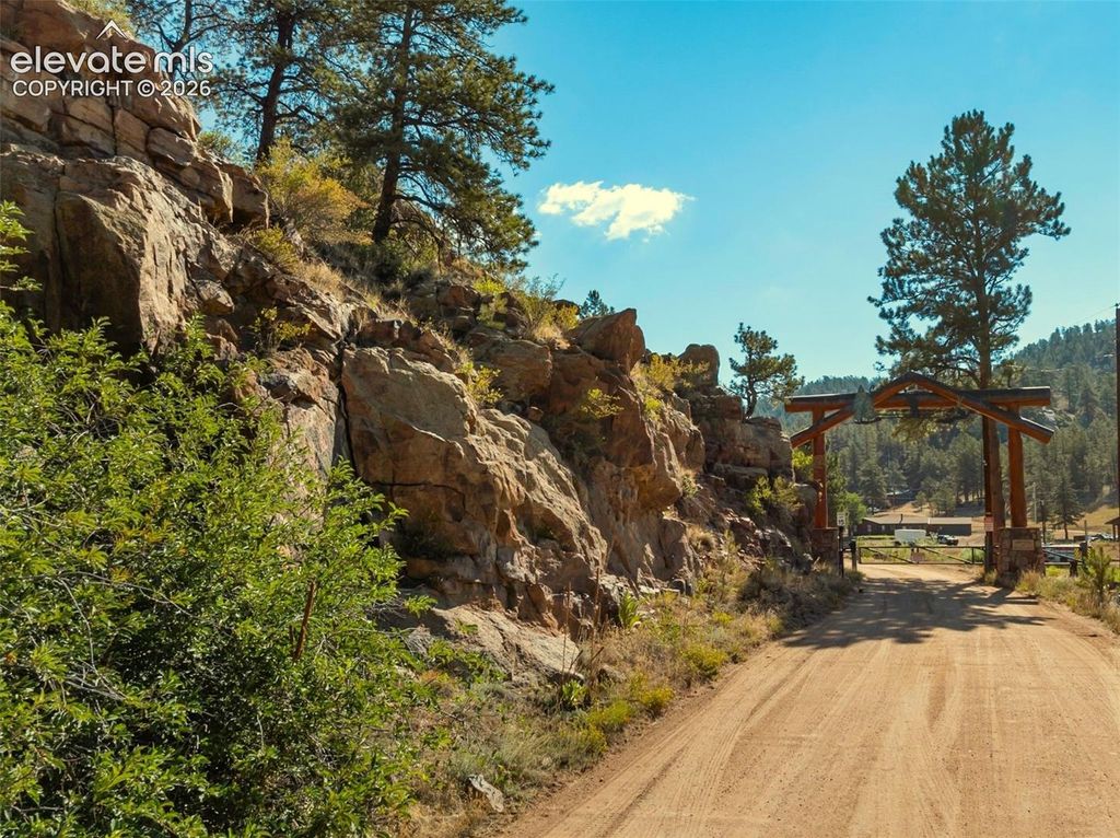 62 White Trail, Lake George, CO 80827 — photo 4
