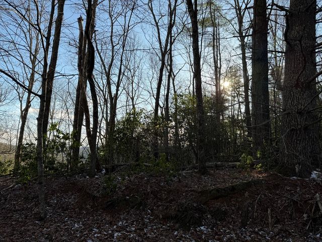 Lot 43 Laurel Lane, Murphy, NC 28906