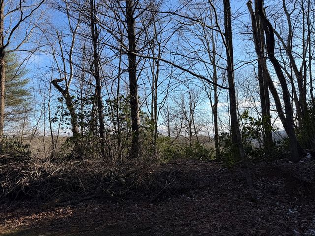 Lot 43 Laurel Lane, Murphy, NC 28906