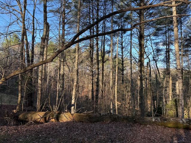 Lot 43 Laurel Lane, Murphy, NC 28906