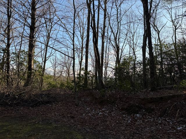Lot 43 Laurel Lane, Murphy, NC 28906
