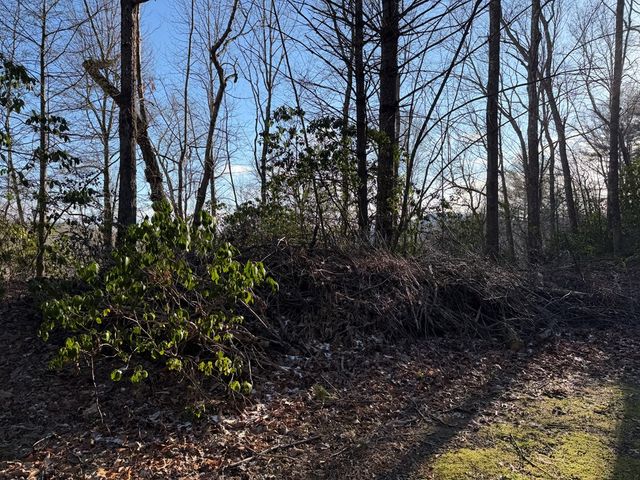 Lot 43 Laurel Lane, Murphy, NC 28906