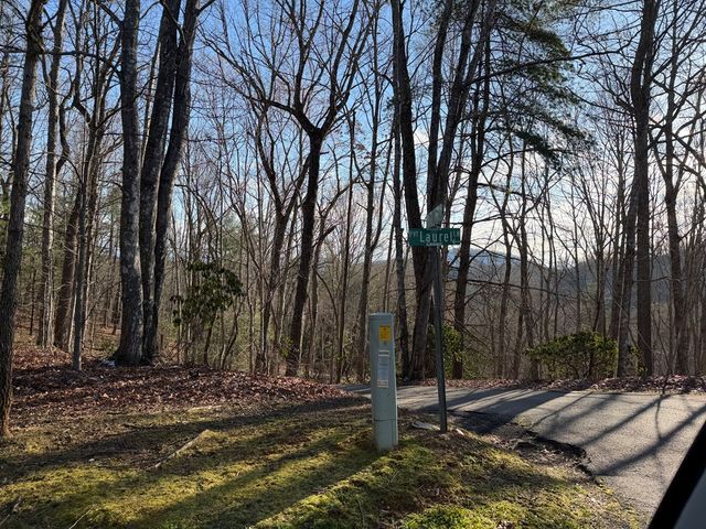 Lot 43 Laurel Lane, Murphy, NC 28906