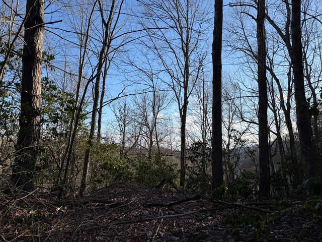 Lot 43 Laurel Lane, Murphy, NC 28906